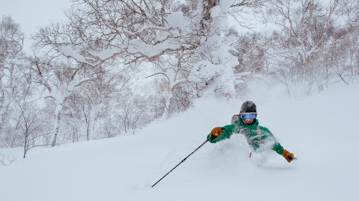 The amazing hokkaido powder