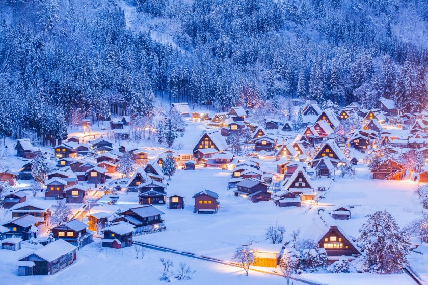 The amazing hokkaido powder